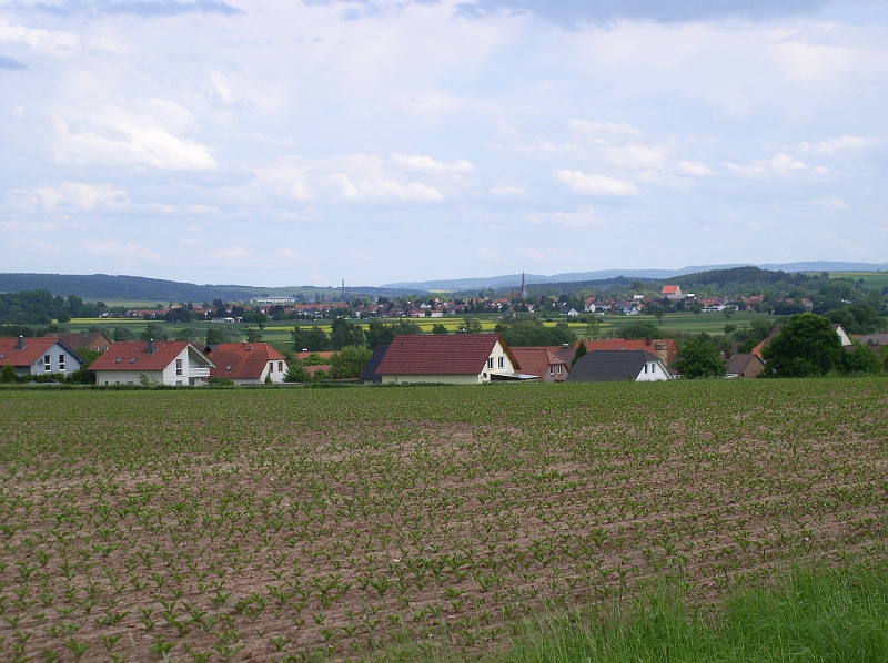 p5170120.jpg - Lindau z kopce nad Wachenhausenem.