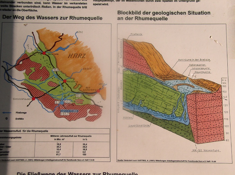 p5230144.jpg - Schma: v oblasti Rhumespringe je podzemn ece postavena vertikln vrstva pskovce, take voda neme dl a mus nahoru.